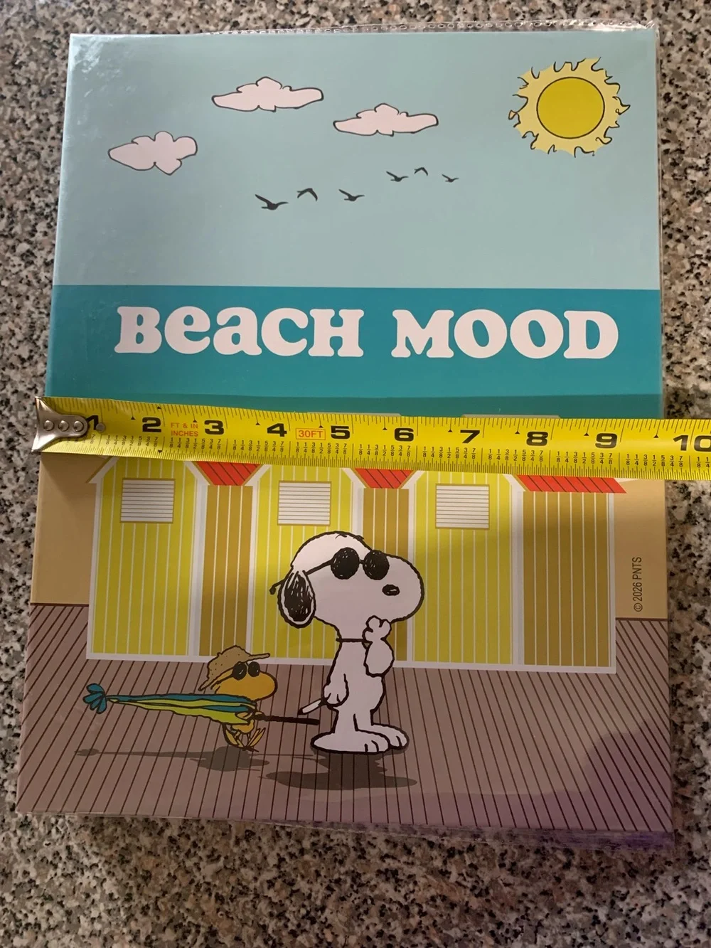 Peanuts Beach Snoopy Binder 2 Ring Binder - Light Blue Pink Yellow Orange